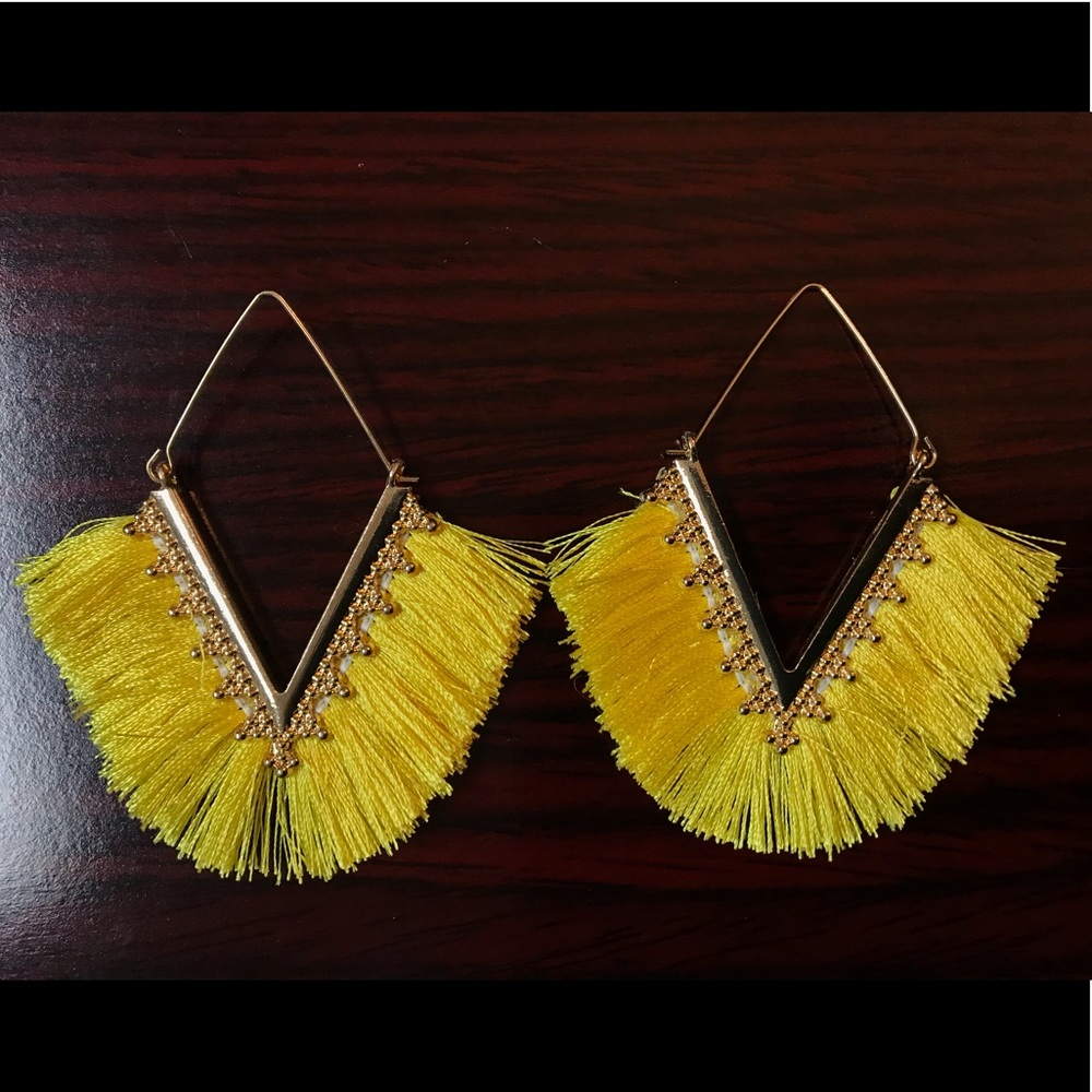 Lovely Triangular Tassel Earrings!